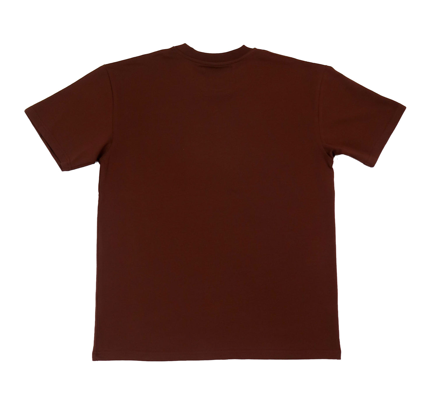 PARADOX T-shirt brown